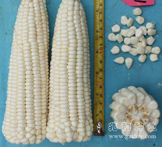 ����Ŵ3̖-���׷N��-�׺ͷN�I(y��)