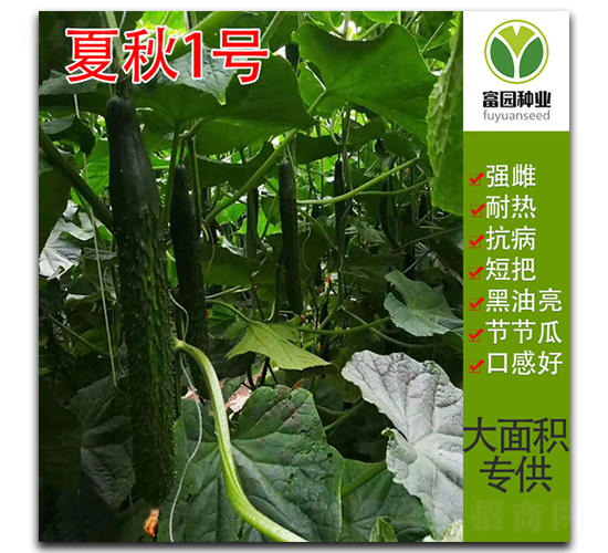 ����1̖-�S�ϷN��-���@�N�I(y��)