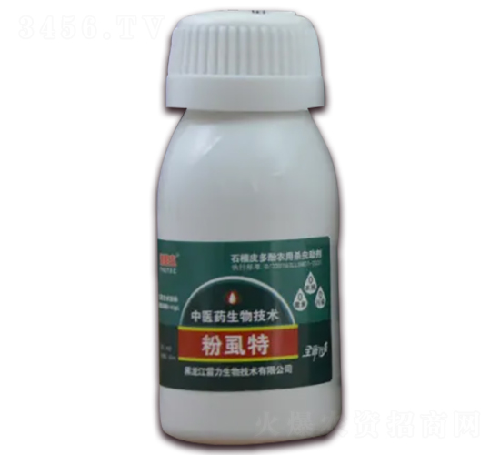 ��ʭ��-��̩��-��������