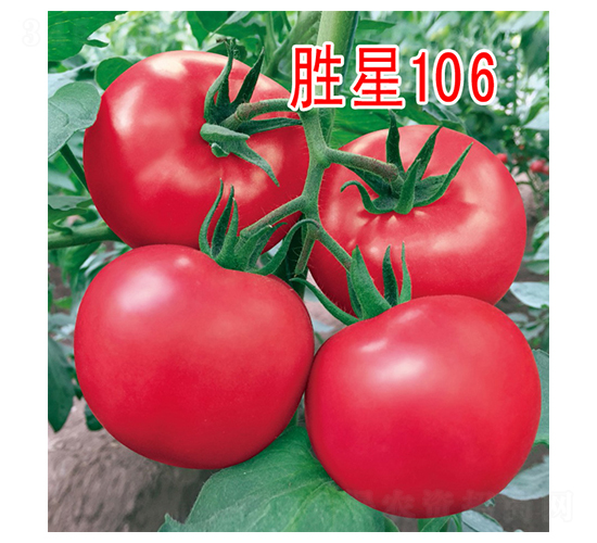 ����106-���ѷN��-���@�N�I(y��)