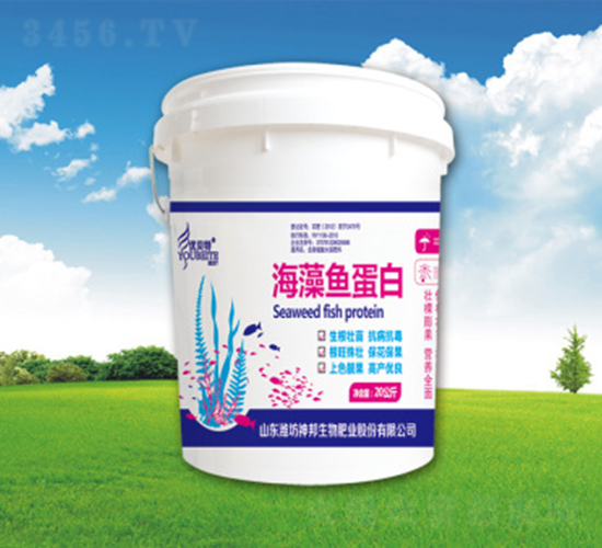 海藻魚蛋白-神邦生物