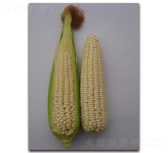 �K��Ŵ102-Ŵ���׷N��-�L���N��