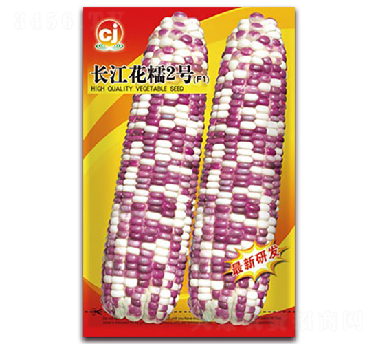 �L����Ŵ2̖(h��o)-Ŵ���׷N��-�L���N��