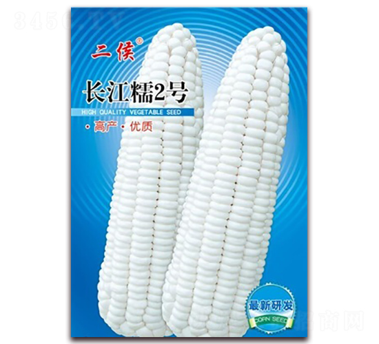 100g�L��Ŵ2̖-Ŵ���׷N��-�L���N��