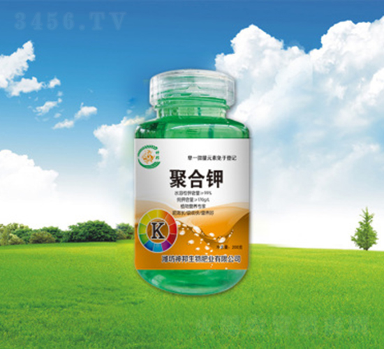 �ۺ��-�������