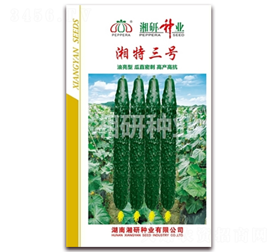 湘特三號-黃瓜種子-湘研種業(yè)