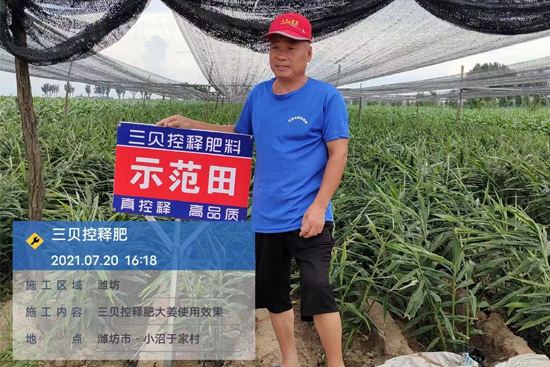 ��ؐ��ጷ���-��ؐ��(l��)�S