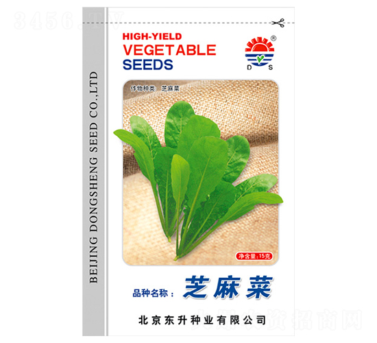 東升芝麻菜-特菜種子-東升種業(yè)