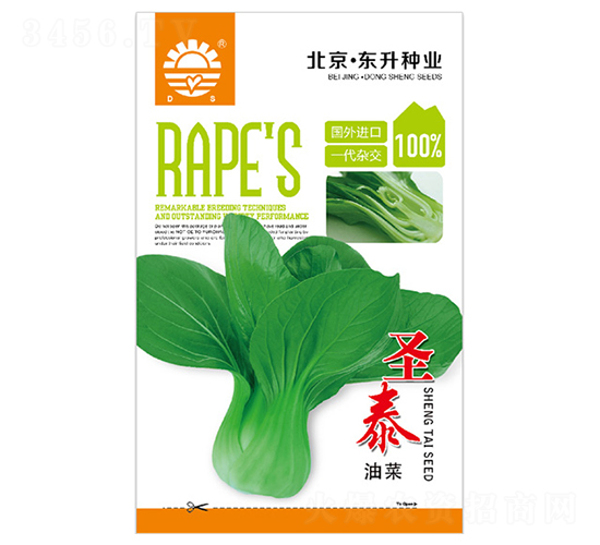 �|��ʥ̩�Ͳ�-�Ͳ˷N��-�|���N�I(y��)