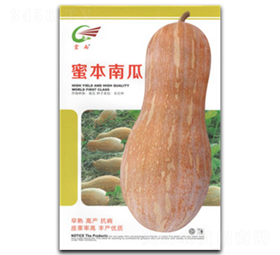 蜜本南瓜-南瓜種子-宏雨