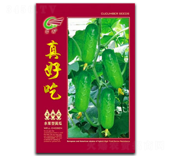 真好吃-黃瓜種子-宏雨