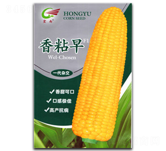 ��ճ��-Ŵ���׷N��-����