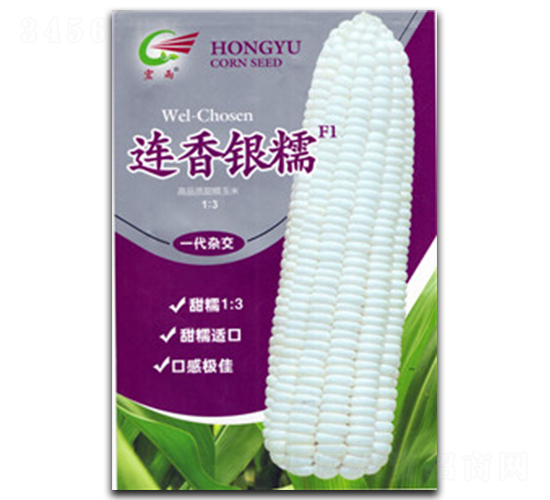 �B���yŴ-Ŵ���׷N��-����