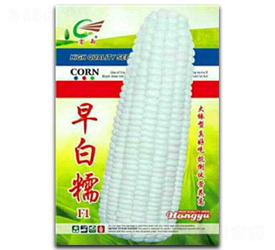 早白糯-糯玉米種子-宏雨