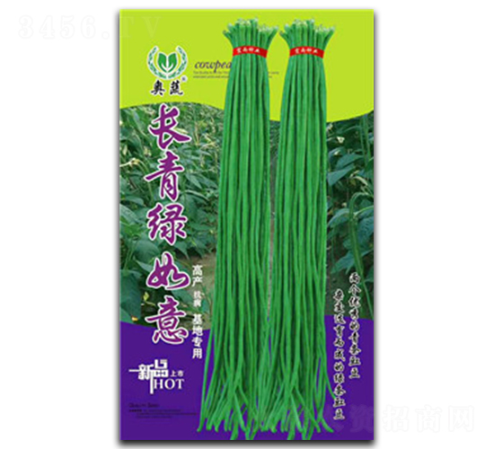長青緑如意-豇豆種子-宏雨