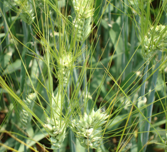 �Kơ6̖(h��o)-�����N��-�к̷N�I(y��)