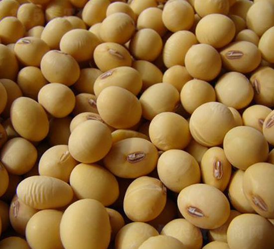 ���S37-�S���N��-�к̷N�I(y��)