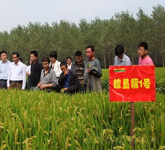 �Ŵ1̖(h��o)-ˮ���N��-�к̷N�I(y��)