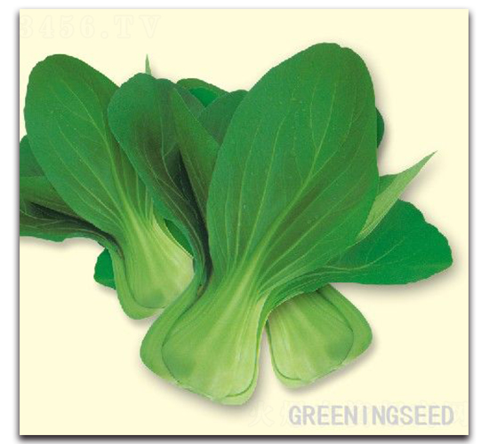 ���_��-�๣�˷N��-����