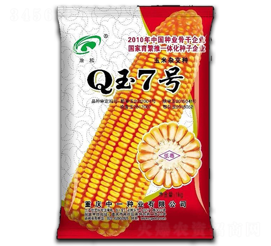 Q玉7號(hào)-玉米種子-中一種業(yè)
