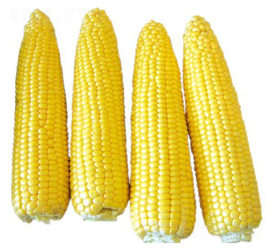 ��������700-���׷N��-�Є�(chu��ng)���S