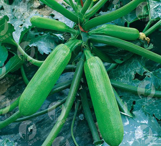 �Є�(chu��ng)����-�����J�N��-�Є�(chu��ng)���S