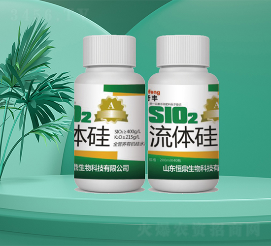 流體硅-恒鼎生物