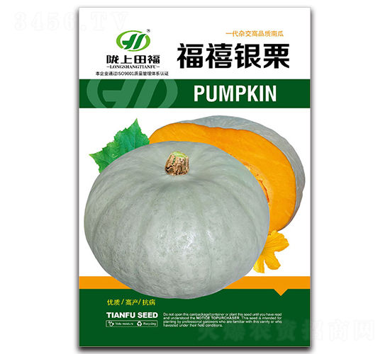 福禧銀栗-南瓜種子-田福農(nóng)業(yè)