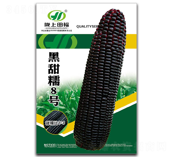 黑甜糯8號-玉米種子-田福農(nóng)業(yè)
