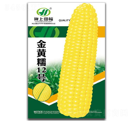 金黃糯12號(hào)-玉米種子-田福農(nóng)業(yè)