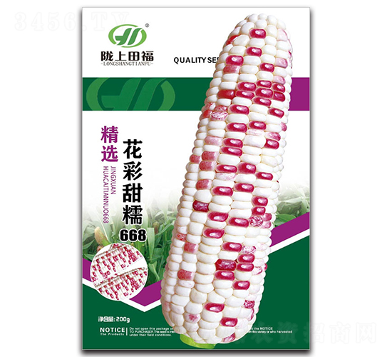 花彩甜糯668-玉米種子-田福農(nóng)業(yè)