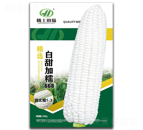 白甜加糯668-玉米種子-田福農業(yè)