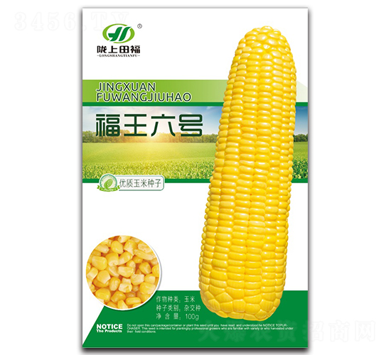 ����6̖-���׷N��-�︣�r�I(y��)