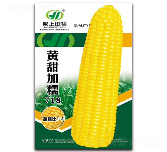 黃甜加糯718-玉米種子-田福農(nóng)業(yè)