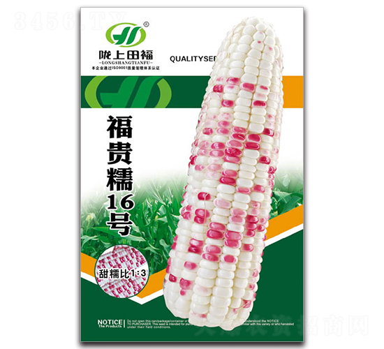 福貴糯16號-玉米種子-田福農(nóng)業(yè)