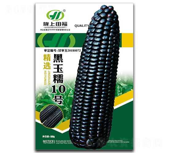 黑玉糯10號-玉米種子-田福農業(yè)