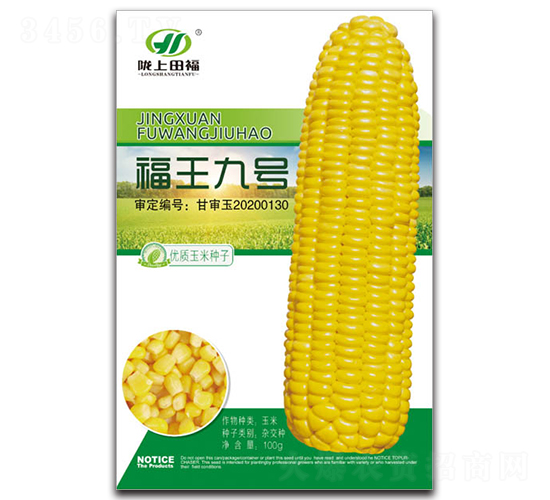 福王9號-玉米種子-田福農(nóng)業(yè)