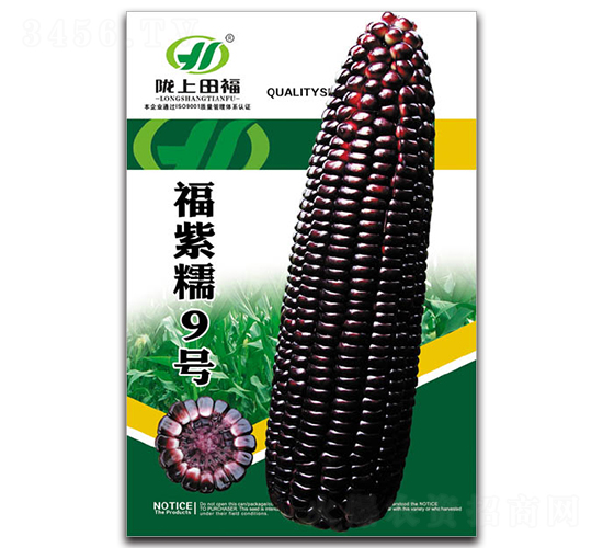 福紫糯9號(hào)-玉米種子-田福農(nóng)業(yè)