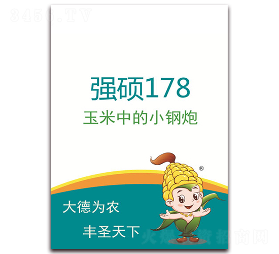 強(qiáng)碩178-玉米種子-德圣種業(yè)