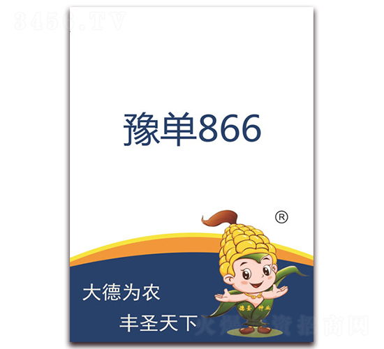 豫單866-玉米種子-德圣種業(yè)