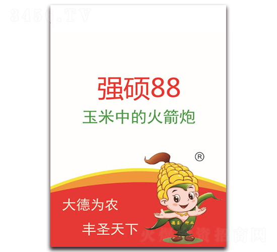 強(qiáng)碩88-玉米種子-德圣種業(yè)