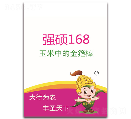 強碩168-玉米種子-德圣種業(yè)