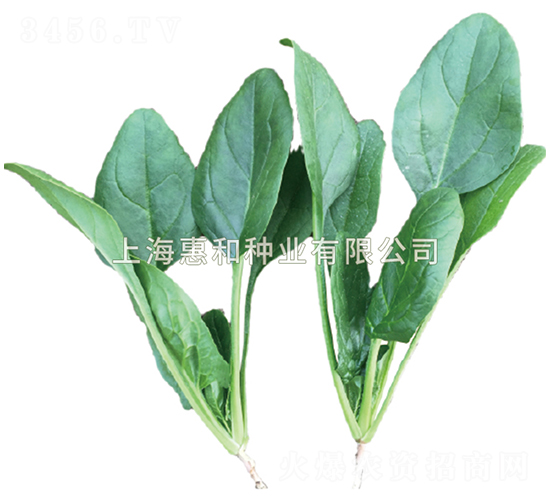 �ݲ���̖-���˷N��-�ݺͷN�I(y��)