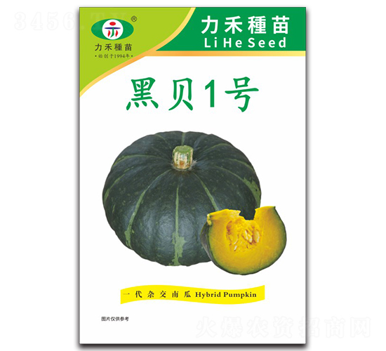 ��ؐ1̖(h��o)-�ϹϷN��-�����r(n��ng)�I(y��)