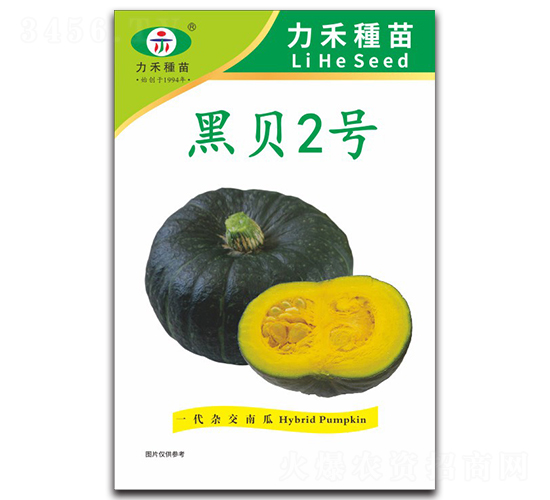 ��ؐ2̖(h��o)-�ϹϷN��-�����r(n��ng)�I(y��)