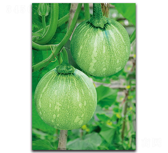 ��Ʒ����1̖-�ϹϷN��-�������r(n��ng)�I(y��)