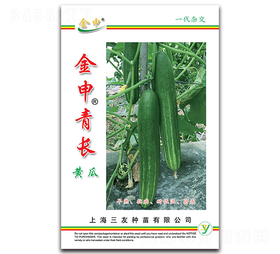 金申青長黃瓜-黃瓜種子-三友