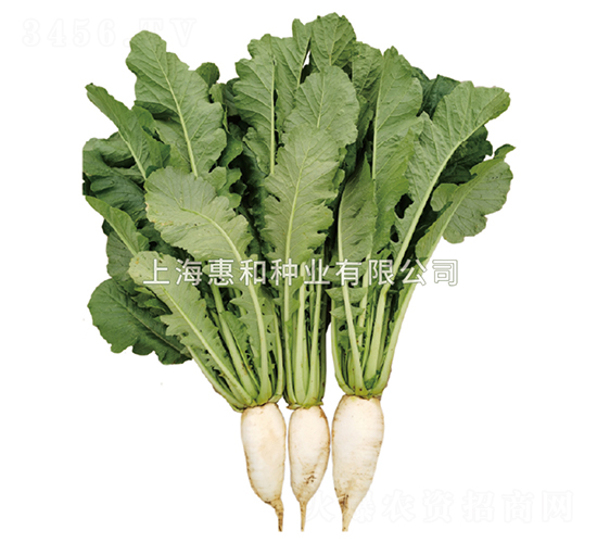 �f�G-�}���N��-�ݺͷN�I(y��)