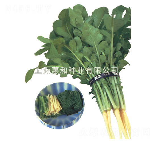 ����-�}���N��-�ݺͷN�I(y��)