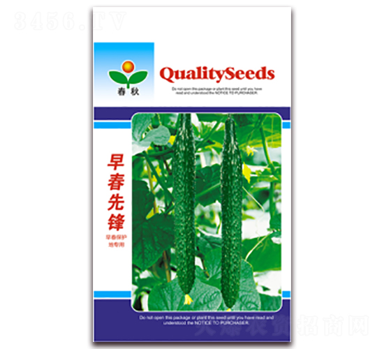 早春先鋒-黃瓜種子-春秋種業(yè)